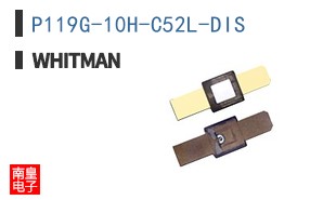 P119G-10H-C52L-DIS ͼƬ